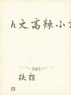 h文高辣小说