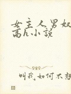 女主人男奴调教高h小说