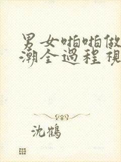 男女啪啪做爰高潮全过程视频