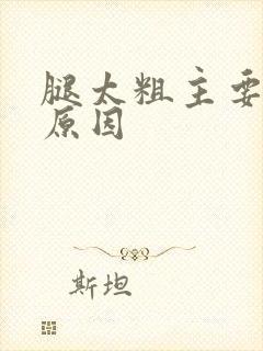 腿太粗主要什么原因