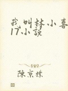 我叫林小喜今年17小说