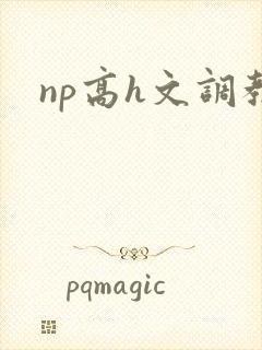 np高h文调教
