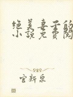 绝美妻子的秘密小说免费阅读