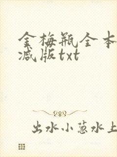 金梅瓶全本无删减版txt