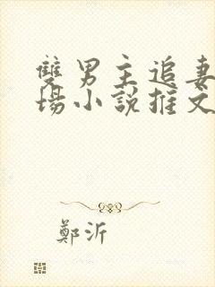 双男主追妻火葬场小说推文封面