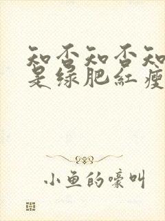 知否知否知否应是绿肥红瘦高清在线观看