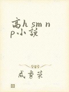 高h sm np小说