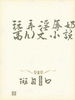 玩弄淫辱奶头(高h)文小说