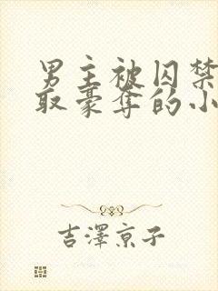 男主被囚禁被强取豪夺的小说