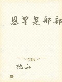 恩星是哪部韩剧