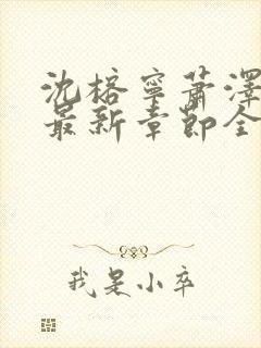 沈榕宁萧泽小说最新章节全文阅读