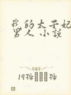 我的太子妃是个男人 小说