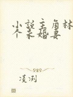 小说主角林尘七个未婚妻