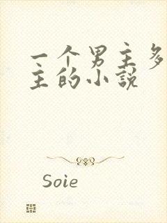 一个男主多个女主的小说