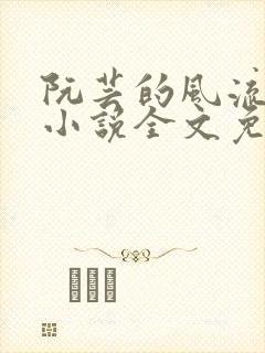 阮芸的风流人生小说全文免费阅读