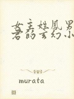 女主姓凤男主姓君的玄幻小说