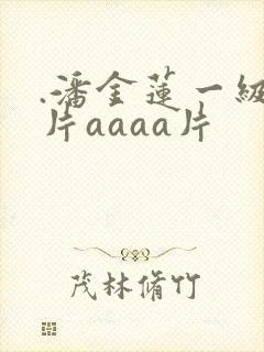 .潘金莲一级淫片aaaa片封面