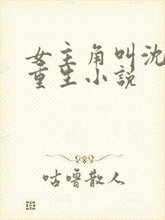 女主角叫沈鸢的重生小说