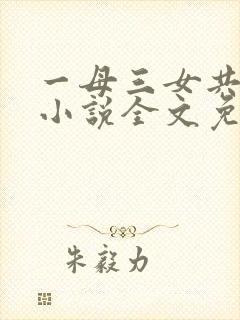一母三女共一婿小说全文免费阅读封面