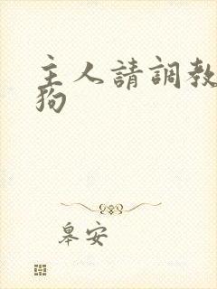 主人请调教骚母狗