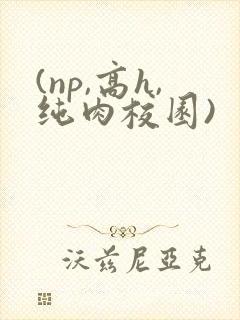 (np,高h,纯肉校园)