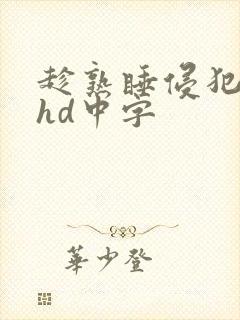 趁熟睡侵犯人妻hd中字封面