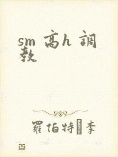 sm 高h 调教