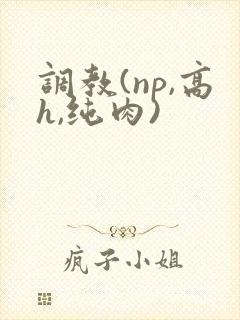 调教(np,高h,纯肉)封面