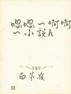 嗯嗯～啊啊啊爽～小说h封面