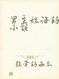 男主姓洛的总裁小说