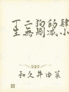丁二狗的肆意人生无删减小说免费