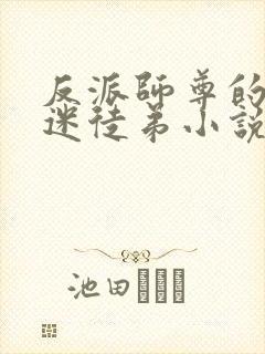 反派师尊的万人迷徒弟小说全文免费阅读封面