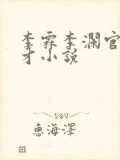 李霖李澜官场奇才小说