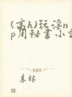 (高h)玩淫np周秘书小说封面