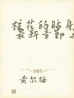 校花的贴身高手 最新章节 无弹窗封面