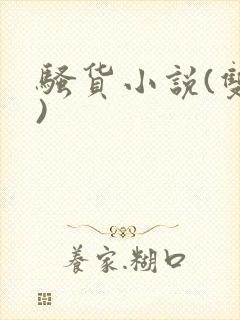 骚货小说(双性)