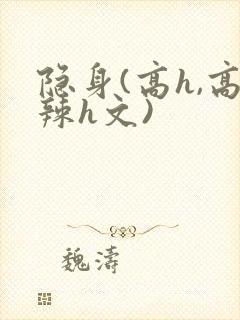 隐身(高h,高辣h文)