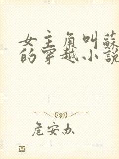 女主角叫苏浅浅的穿越小说