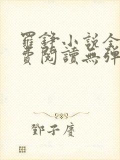 罗铮小说全文免费阅读无弹窗封面