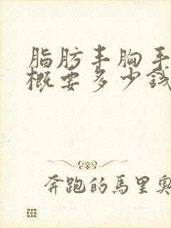 脂肪丰胸手术大概要多少钱