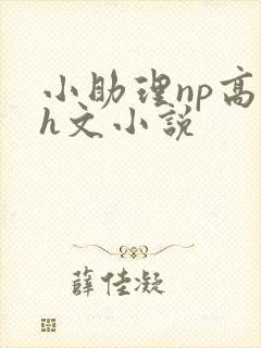 小助理np高辣h文小说