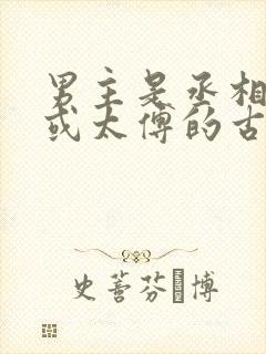 男主是丞相首辅或太傅的古言