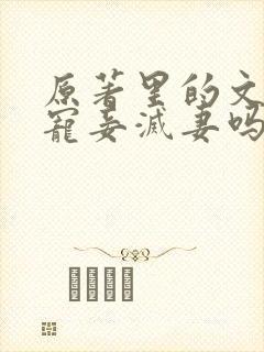 原著里的文炎敬宠妾灭妻吗