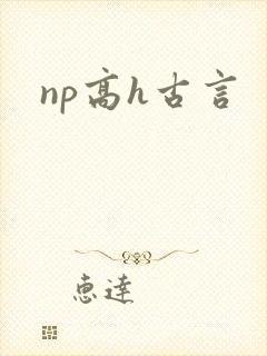 np高h古言