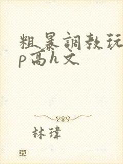 粗暴调教玩弄np高h文