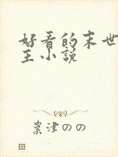 好看的末世双男主小说