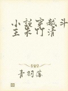 小说穿越斗罗女主朱竹清