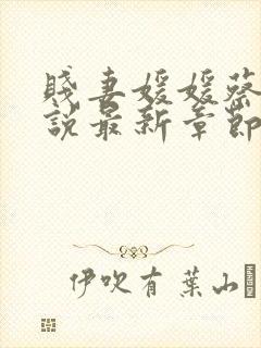 贱妻媛媛蔡叔小说最新章节更新