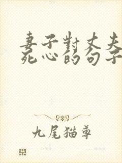 妻子对丈夫彻底死心的句子