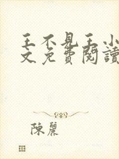 王不见王小说全文免费阅读
